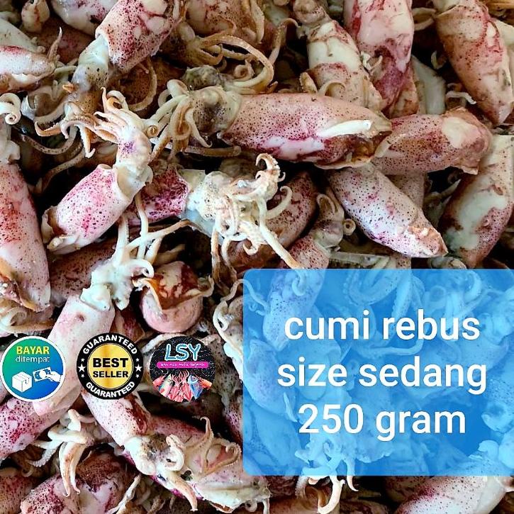 

[KODE PRODUK 70SDH9551] ikan asin cumi rebus / sotong rebus size sedang 250gram