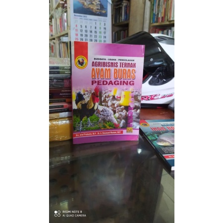 agribisnis ayam buras pedaging budidaya ayam buras pedaging original