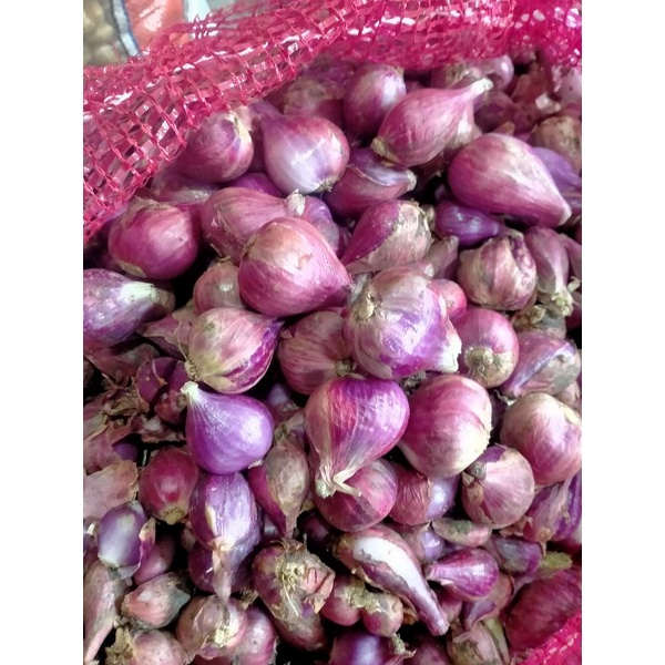 

bawang merah pilihan super BESAR 500g