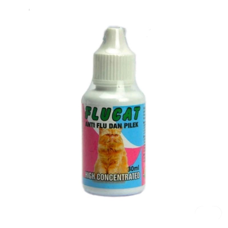 Flu cat obat flu dan pilek kucing