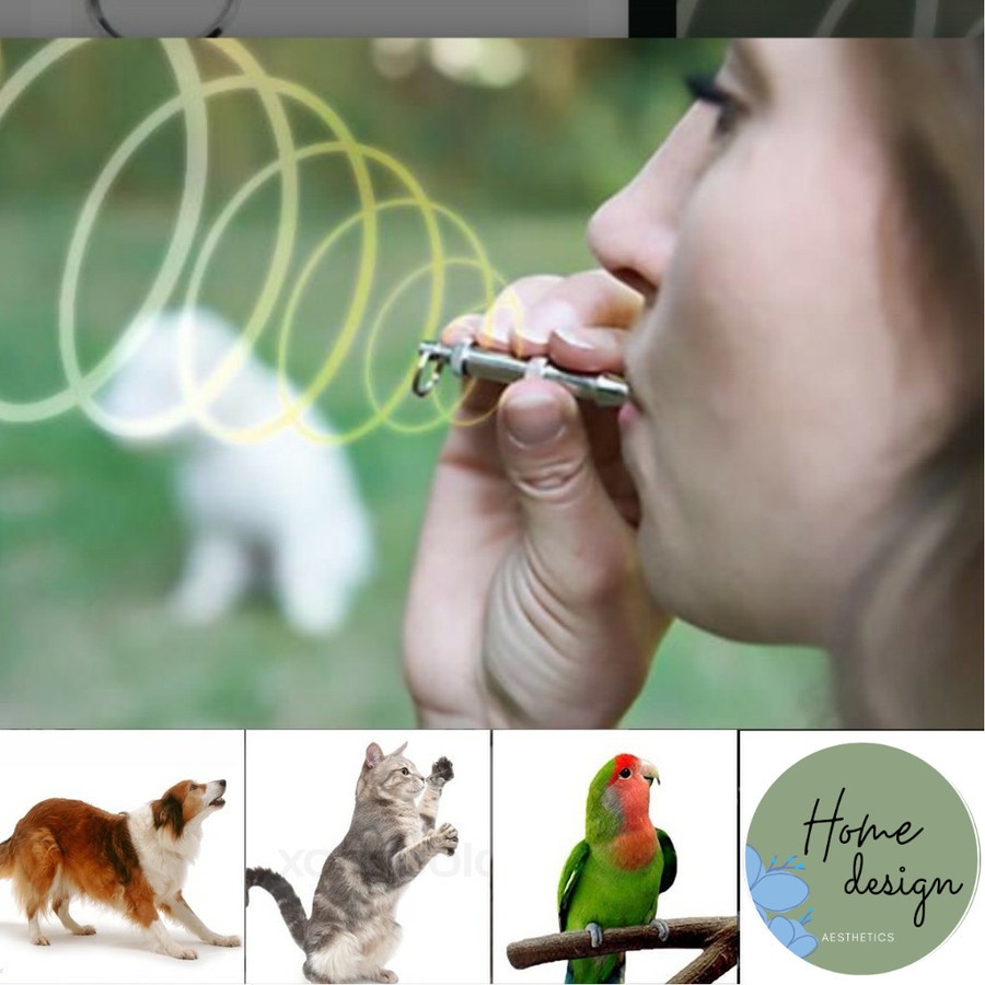 Peluit Ultrasonik Anjing Latih Burung Falconry Elang Pluit Burung Ultrasonic Whisle Whistle FEZONE