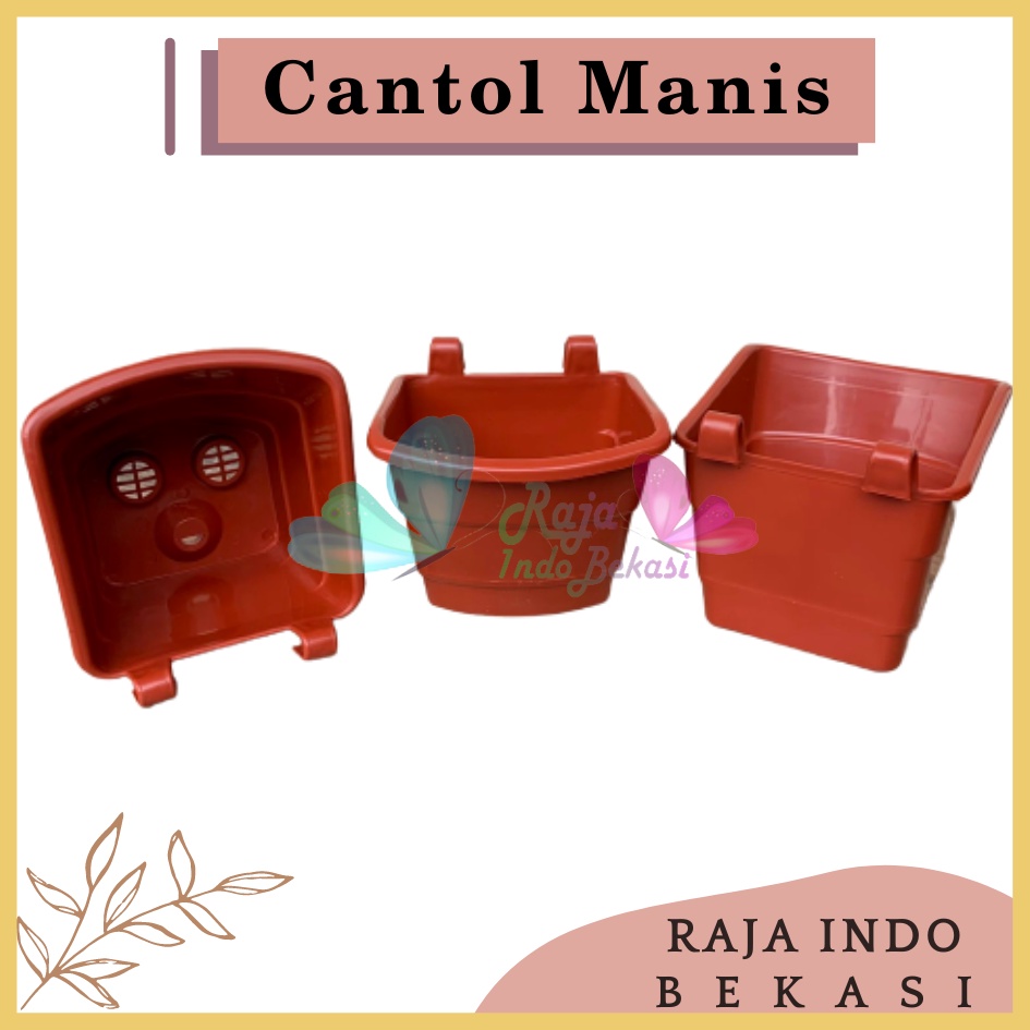 Rajaindobekasi Pot DINDING CANTOL TEMPEL TIP Coklat Merah Bata - Pot Dinding Tempel Manis Mini Murah Unik Pot Tempel Vertical Garden Pot Argo Mini