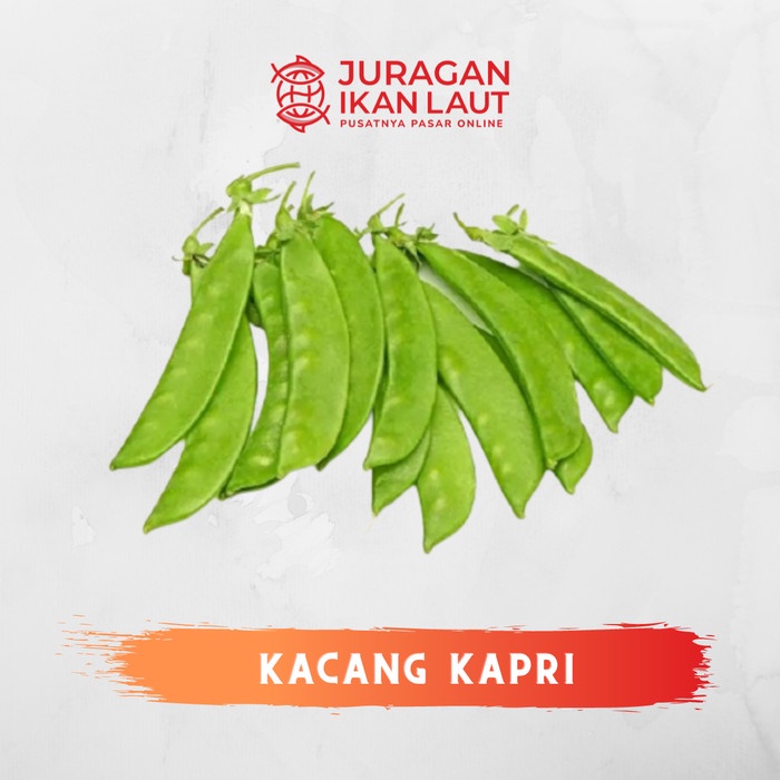 

Sayur Kacang Kapri Segar Berkualitas - 250 Gram