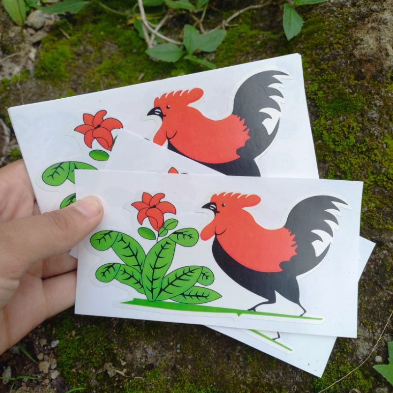 

STIKER VIRAL AYAM JAGO / WTIKER KEREN