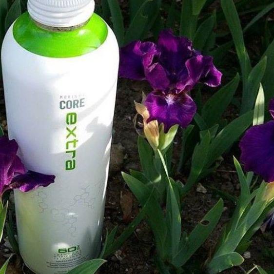 Diskon Gelas Sloki Takar Ukuran 60ml Plastik Transparan Bagus & Praktis utk Minum Tahitian Noni TNM 