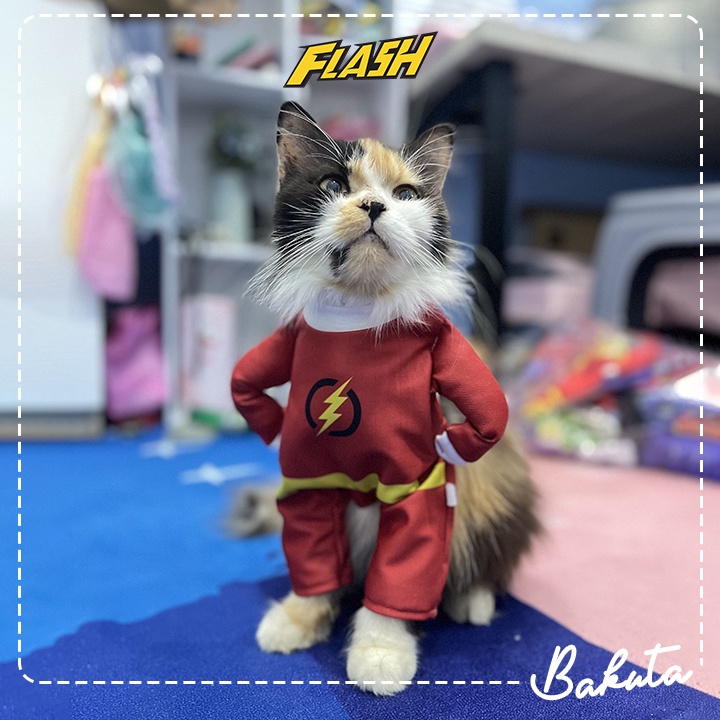 Kostum Superhero untuk kucing dan anjing Lucu Cosplay DC Hero Green Lantern / WonderWoman / The Flash / Kostum kucing Murah / Baju Kucing Tangerang size S-XL