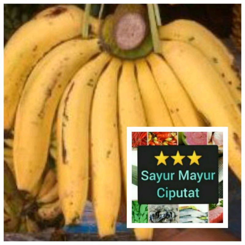 

pisang ambon 1 sisir