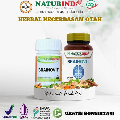 Vitamin Otak Anak Cerdas Obat Anti Depresan Suplemen Otak Brainovit