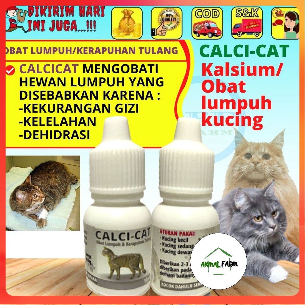 CALCI-CAT Obat Kucing Lumpuh Kalsium Kerapuhan Tulang Hewan Peliharaan