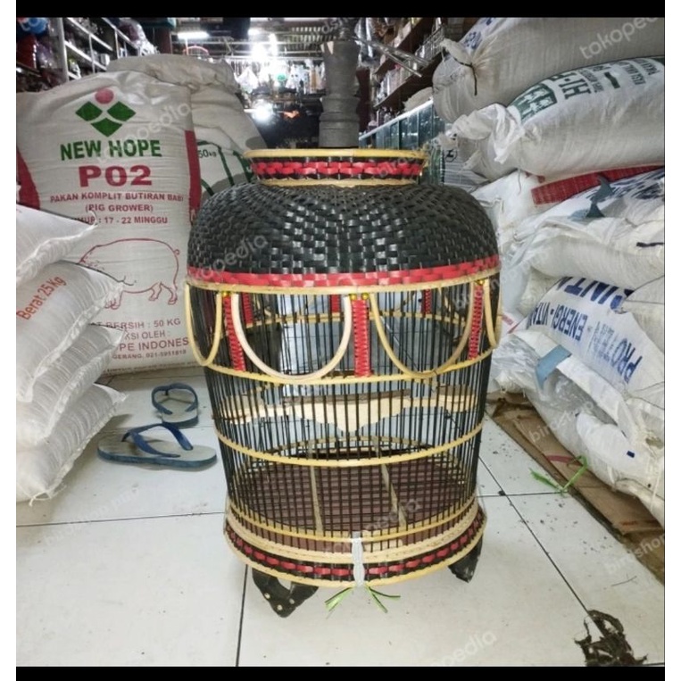 kandang burung perkutut