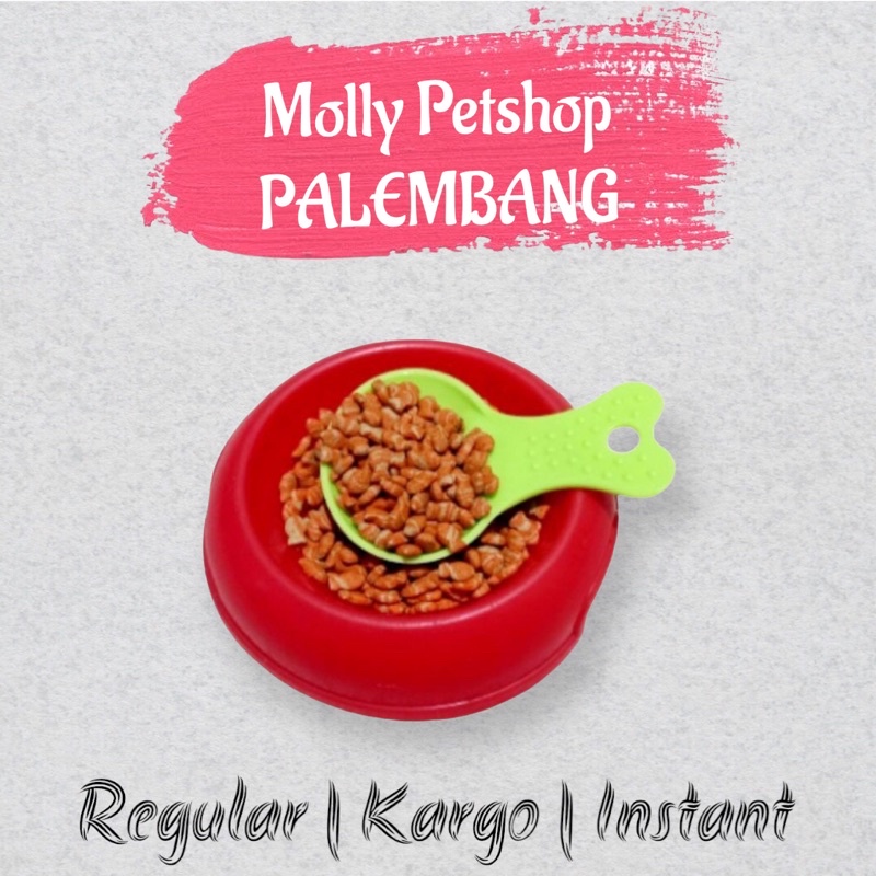 Sendok takar makanan kucing