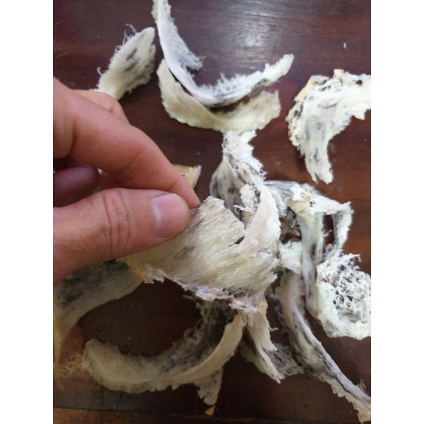 

sarang burung walet yenwo patahan kotor 50 gram