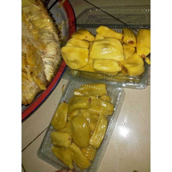 

nangka biji