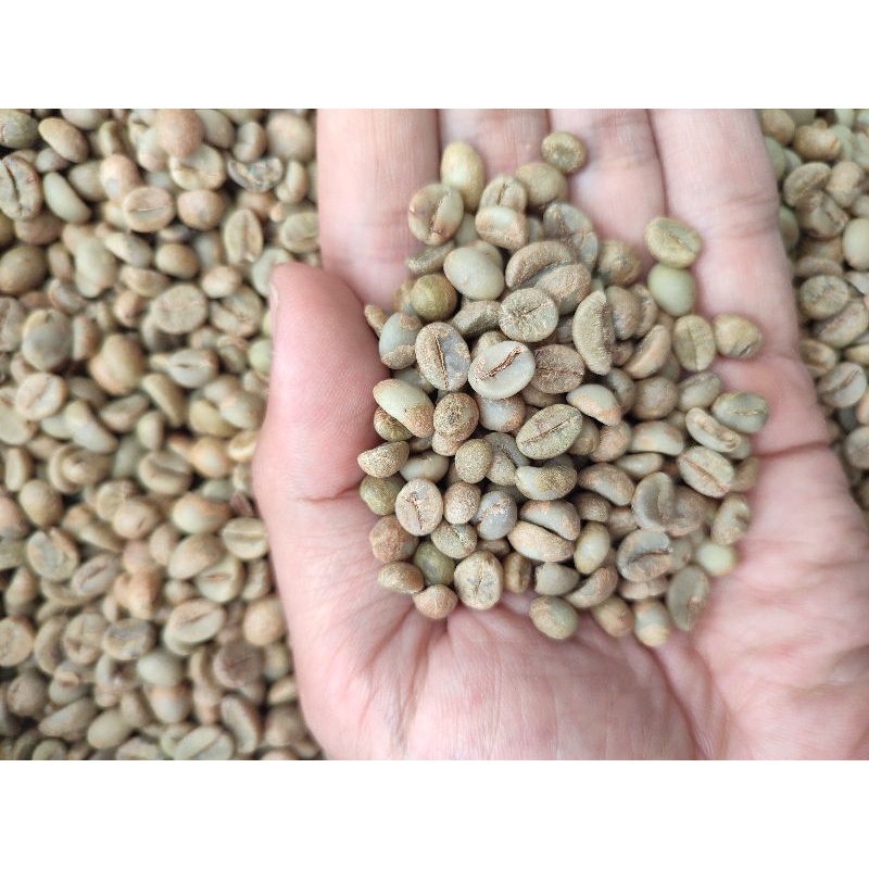 

Green Bean Robusta Umbaran Temanggung 1kg