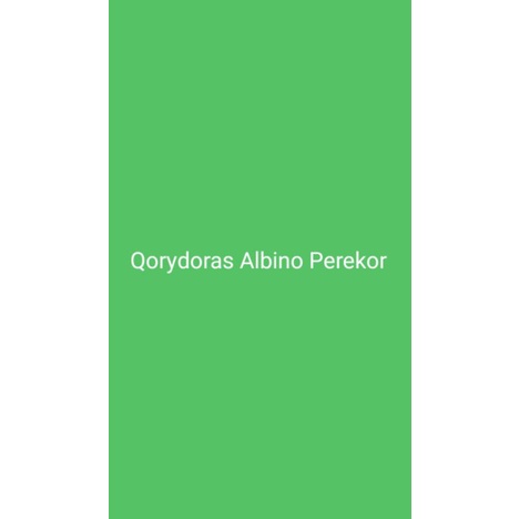 Qorydoras Albino atau Ikan Pembersih Kaca Perekor