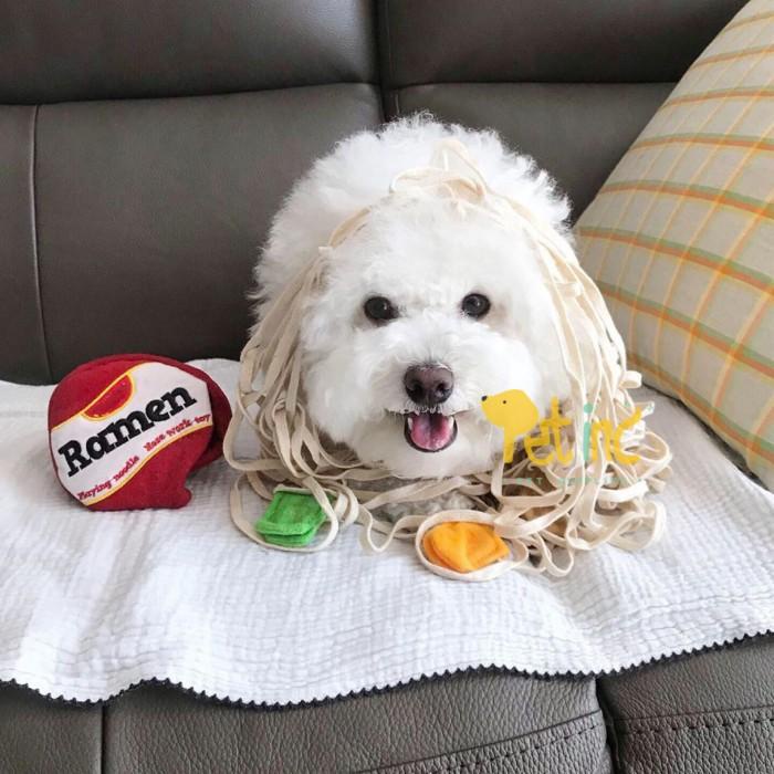 

Yuk Dibeli Premium Japan Dog Toy Ramen With Noodle 019