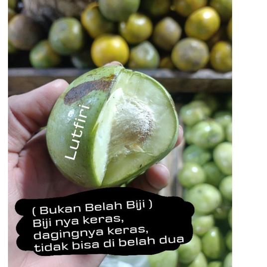 

Terkini Mangga Telor atau Telur Muda Mentah 1 kg belah biji asem segar fresh rujak manisan asinan 91 ✲