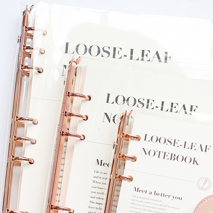 

KOREAN GLOW TRANSPARENT BINDER A6 ~ A5 6 RING