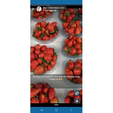 

strawberry