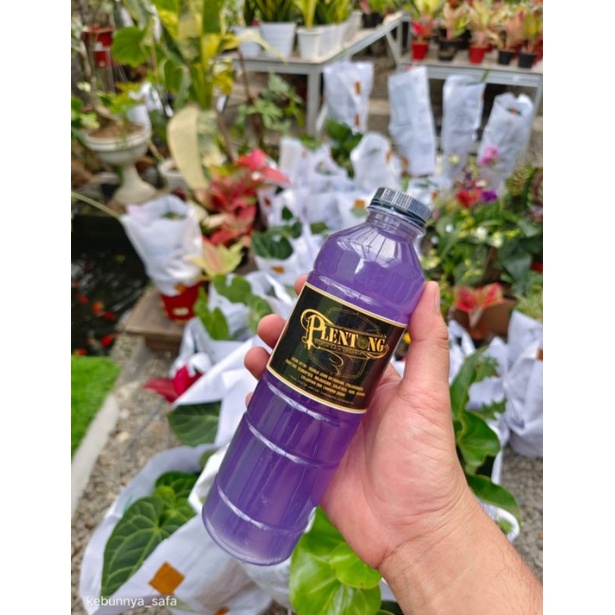 Anti Hama GGN Furadan cair untuk Tanaman