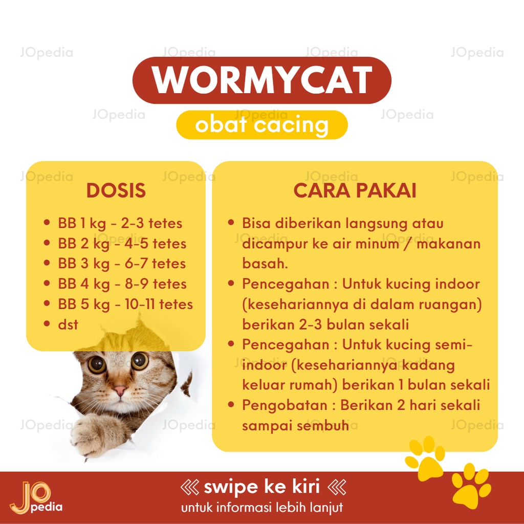 WORMYCAT Obat Cacing Kucing Anti Infeksi Cair