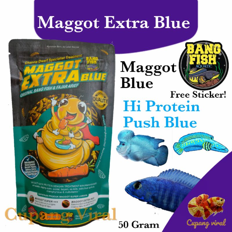 Maggot EXTRA BLUE Bang Fish Aquatic Channa Blue Booster