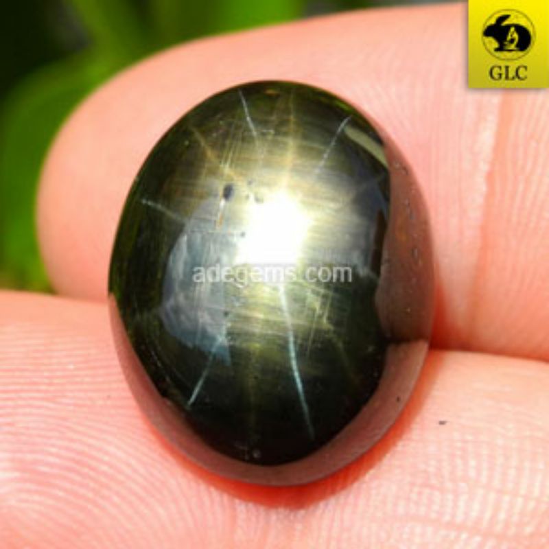 SS-253 Batu Permata Black Star Sapphire 12 Rays Safir Hitam Bintang 12 Sinar Thailand Natural 25.83 