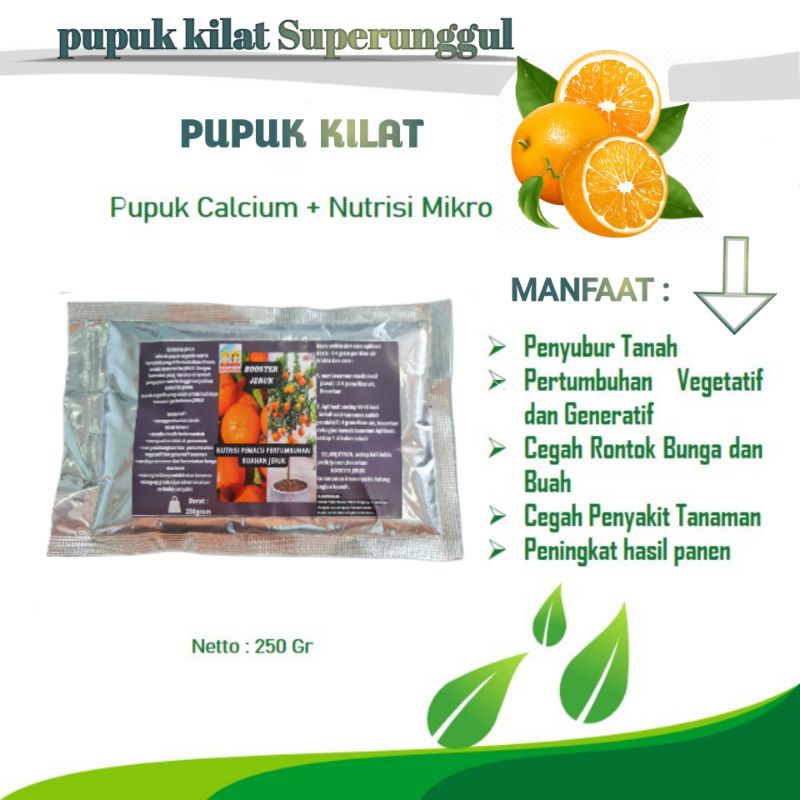 Pupuk Booster Organik Pelebat Buah Jeruk Dan Perangsang Agar Cepat Berbuah