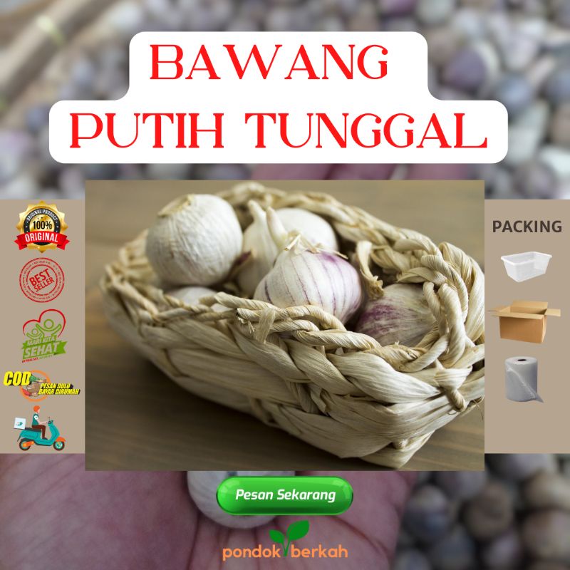 

Bawang Putih Tunggal Lanang Isi 250 Gr Ukuran Sedang Medium Besar Fresh