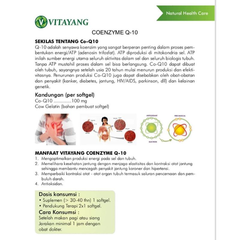 Vitayang Coenzyme Q10 Suplemen Antioksidan Untuk Kesehatan Jantung Original kk Indonesia