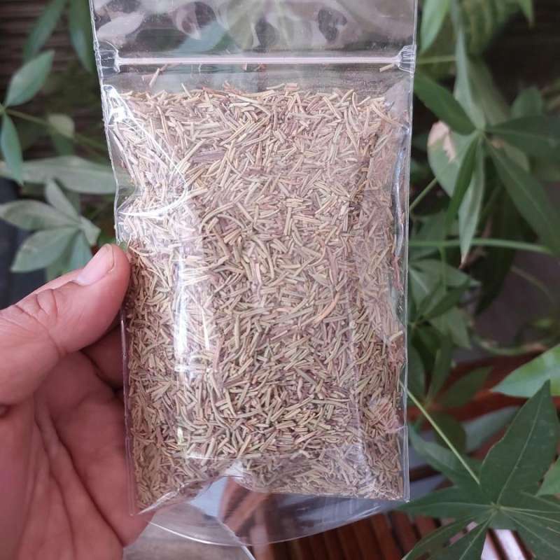 

Rosemary Leaves Rosemary Kering 100 Gram Termurah Free Bubble Wrap dan Dus Tebal