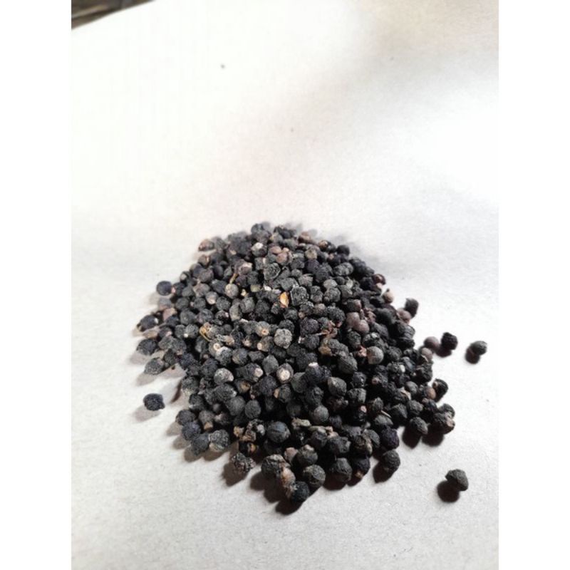 

Buah Angkung Kering Obat Stroke 20 biji + bonus 20 biji hasil jemuran matahari