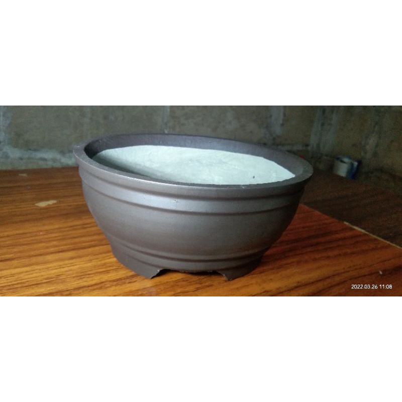POT BONSAI/ POT MAME
