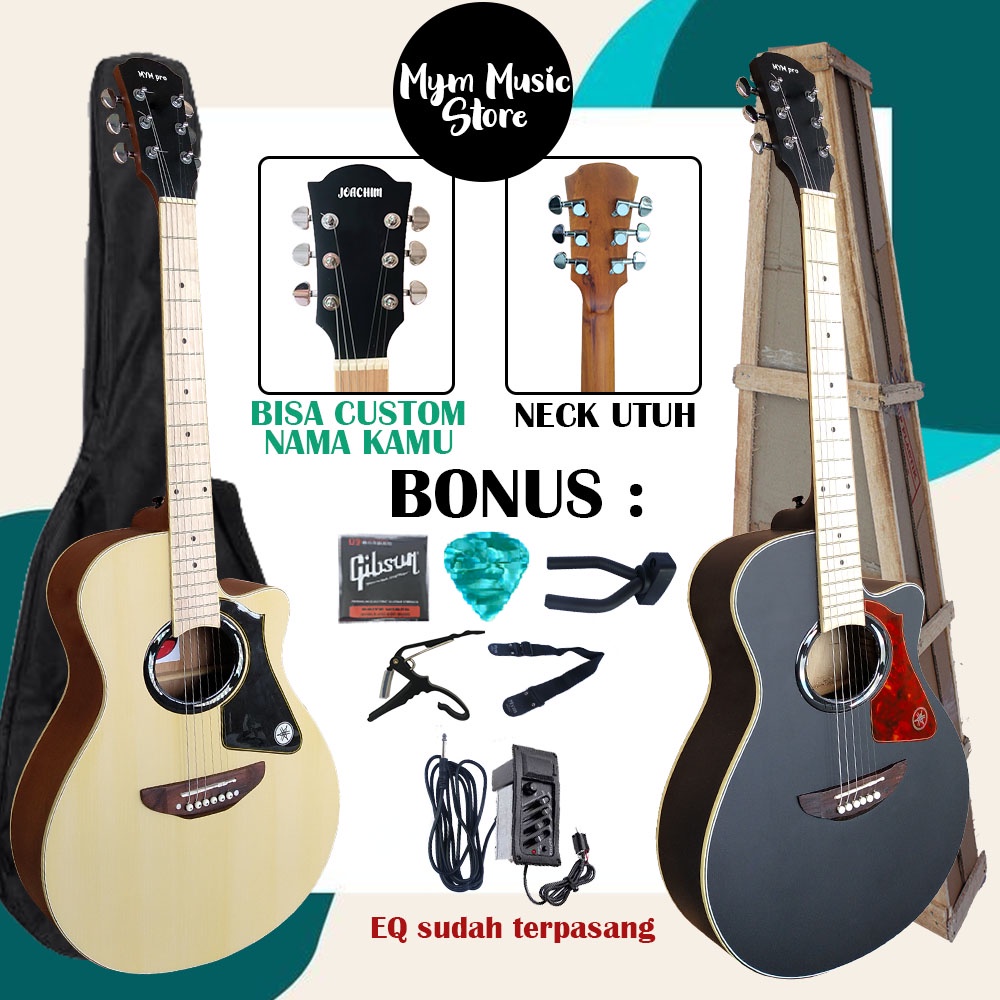 Gitar Akustik Elektrik APX Custom Double Run Free Packing Kayu