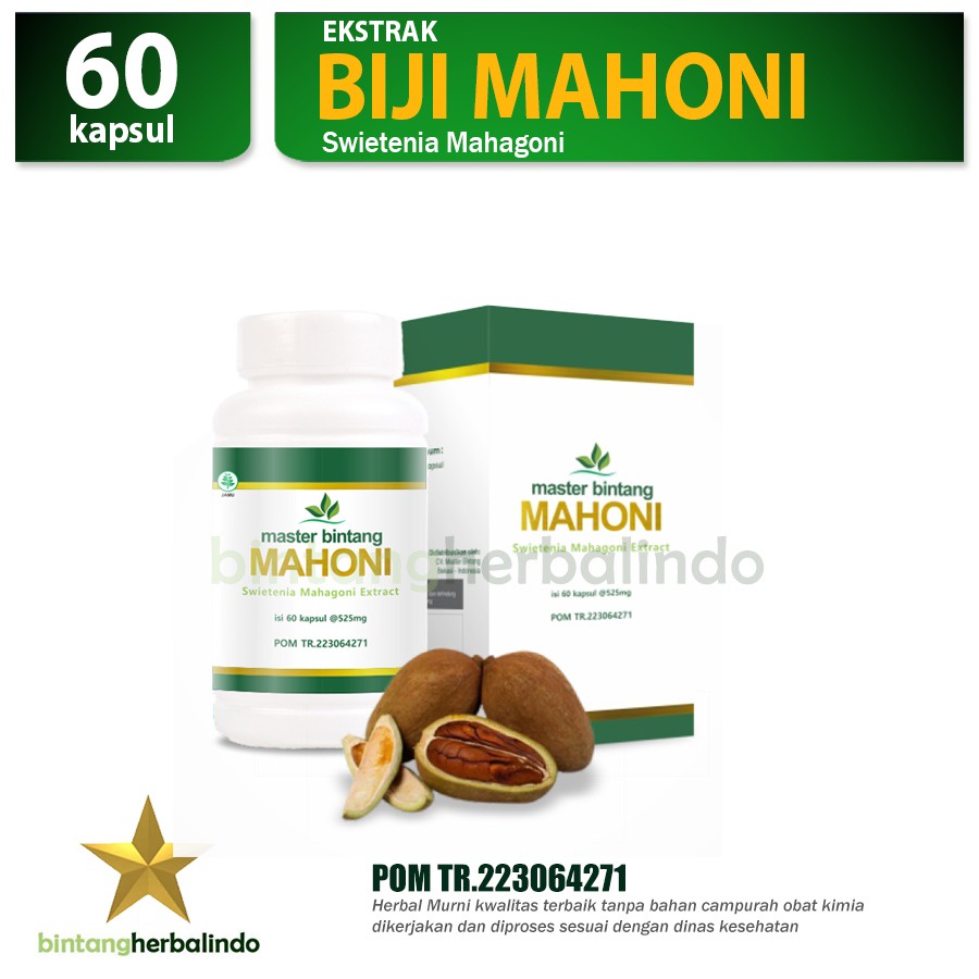 

MASTER BINTANG BIJI MAHONI 60 kapsul Infertilitas Diabetes Kolesterol Alzheimer