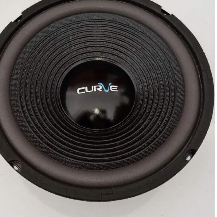 Murah Banget Speaker woofer 10 inch curve 25H100SUWPP