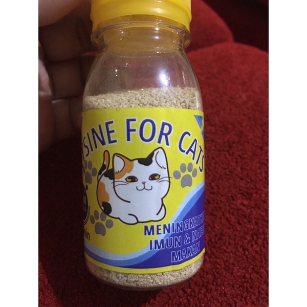 vitamin penggemuk kucing