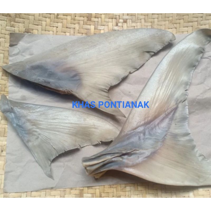 

SIRIP HIU / MENG CHI PREMIUM (UK 30cm)