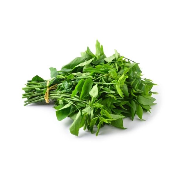 

HarvestMoon Daun Katuk @500gr