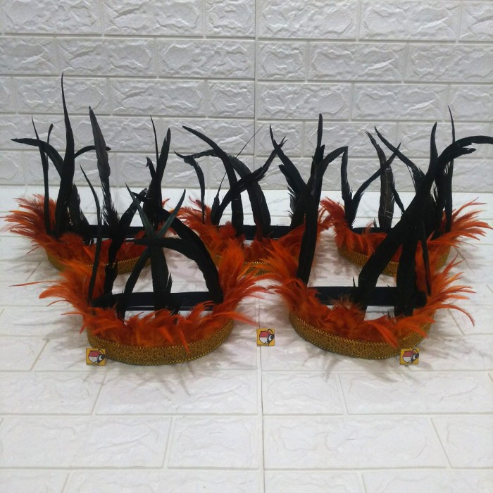 MAHKOTA BULU TOPI BULU MAHKOTA PAPUA BULU