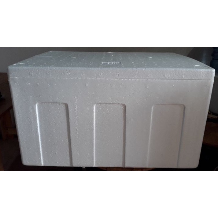 Box Styrofoam Besar Bekas / Styrofoam Box Second AG 60