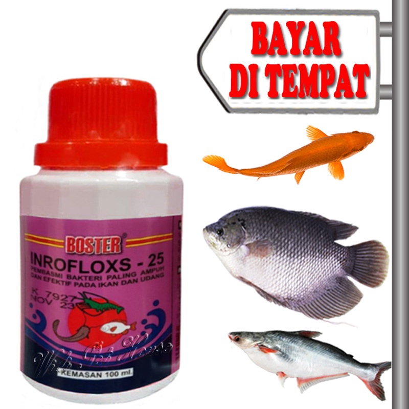 Obat Luka Anti Bakteri Ikan Sakit Antibiotik Inrofloxs 25