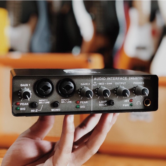 DS ORCA Dolphin Sound Audio Interface // Soundcard