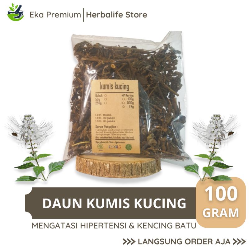 

Daun Kumis Kucing Kering 100 Gram Asli Murni Organik Ramuan Herbal Jamu Remujung Tradisional Obat Diabetes Asam Urat Penghancur Kencing Batu Ginjal