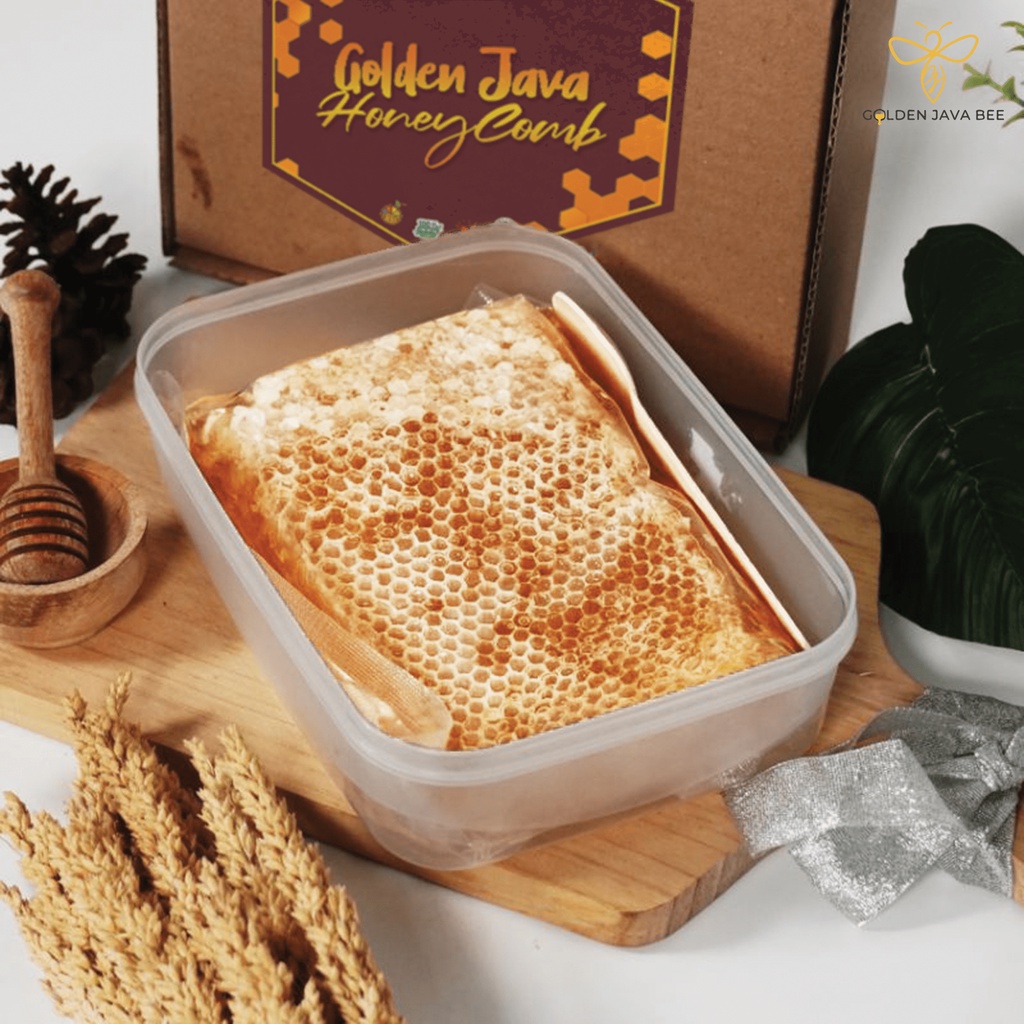 

SARANG MADU MURNI ASLI | GOLDEN JAVA BEE OFFICIAL