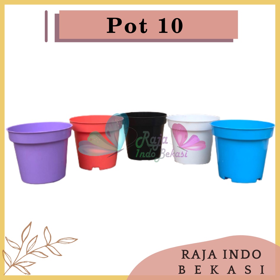 Pot Bunga 10 Cm Warna Warni Putih Hijau Kuning Pink Ungu Pot Bunga Hias Ukuran Mirip Pot Tawon 10 Cm