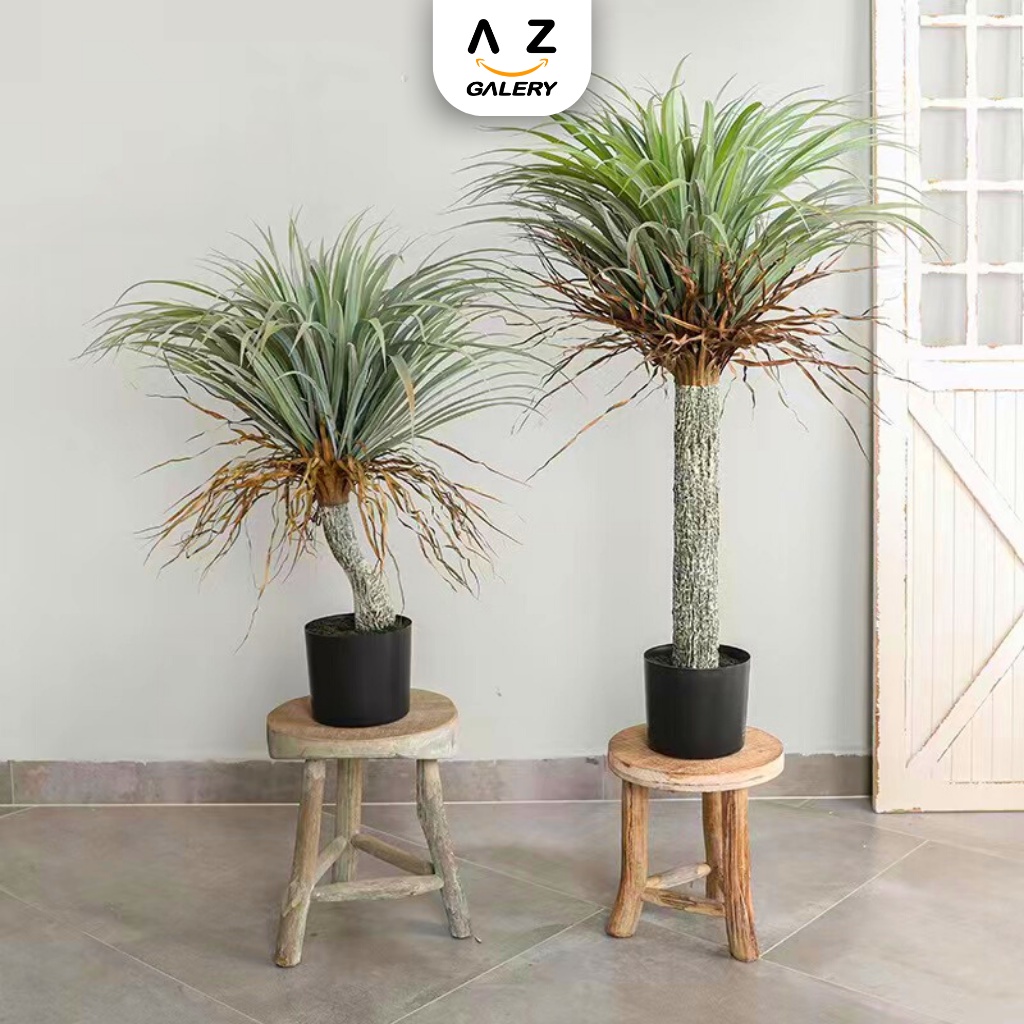 Pohon Palem Nolina Ponytail Palm Tanaman  Hias Plastik PBP128 Azgalery