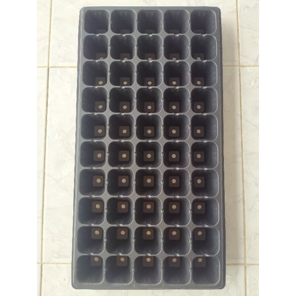 Pot tray_Tray semai 50 hole/lubang_Tray semai