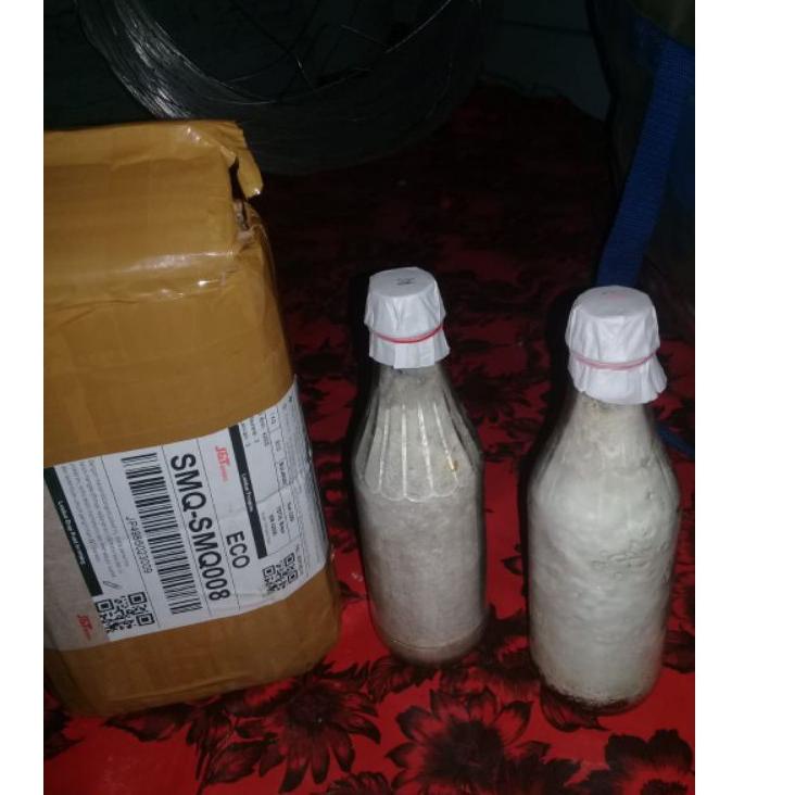 Penjualan Favorit Bibit Jamur tiram putih f1