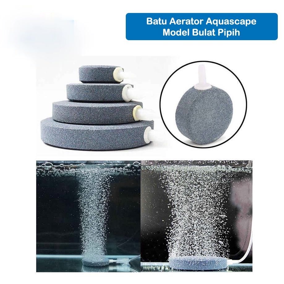 Batu Aerator Model Bulat Pipih Besar Kecil Aquarium Airator Stone Akuarium Aksesoris Aquascape Gelem